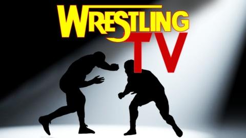 Wrestling TV Channel (2022)